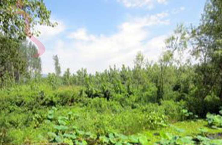 天津蓟州区翠屏湖鱼米香农家院 - 周边游玩