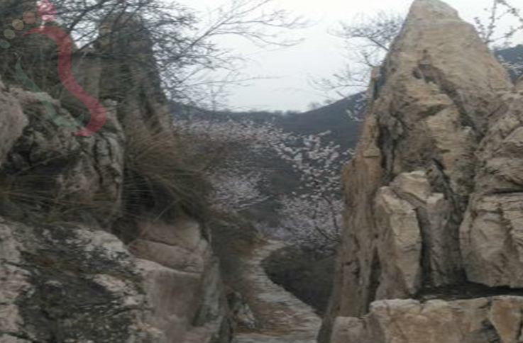 天津蓟州区坝尺峪向阳农家院 - 周边游玩