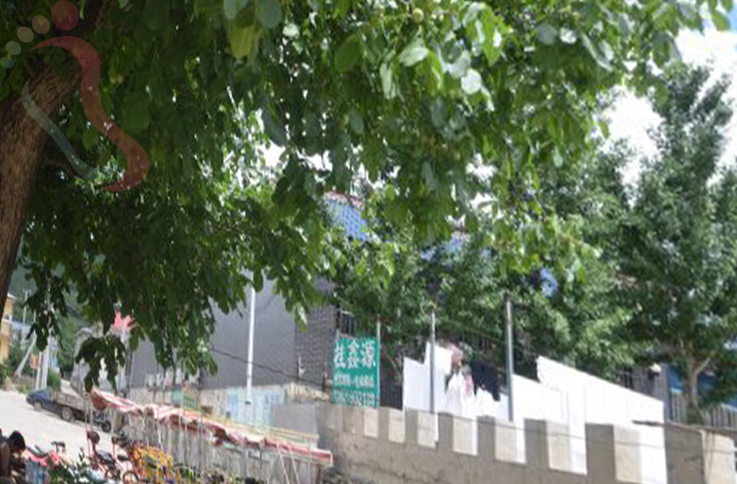 天津蓟州区坝尺峪桂鑫源农家院 - 民宿介绍