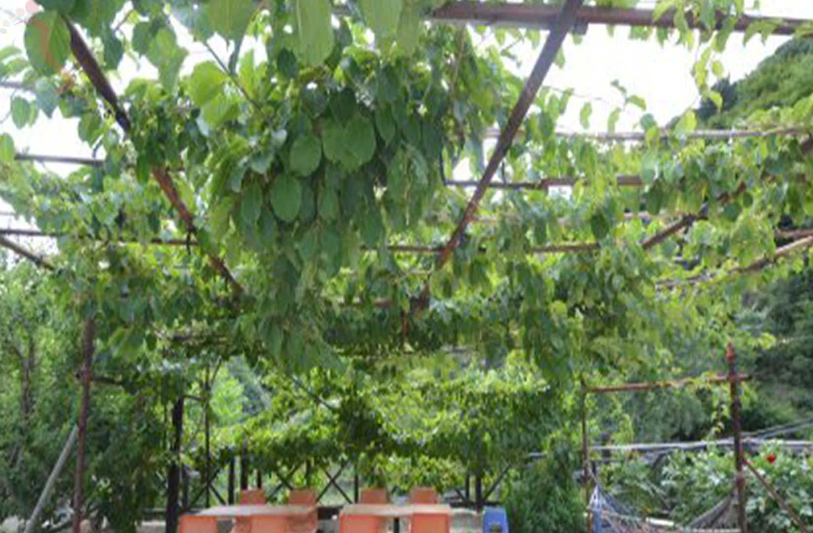 天津蓟州区九山顶马家大院 - 图片4