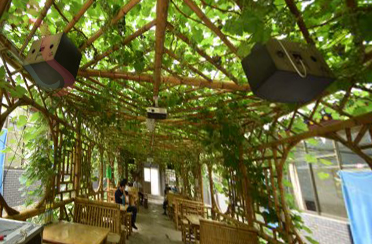 天津蓟州区坝尺峪桂鑫源农家院 - 图片3