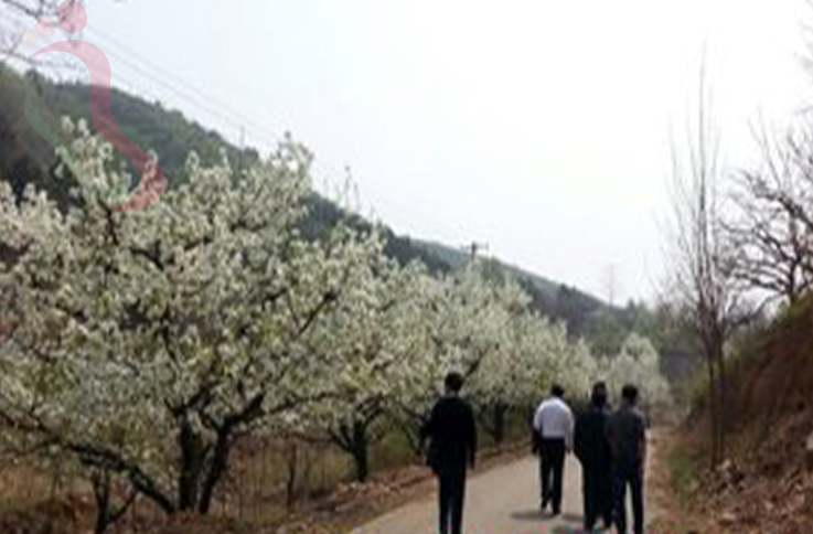 天津蓟州区坝尺峪桂鑫源农家院 - 周边游玩