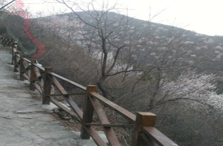 天津蓟州区坝尺峪向阳农家院 - 周边游玩