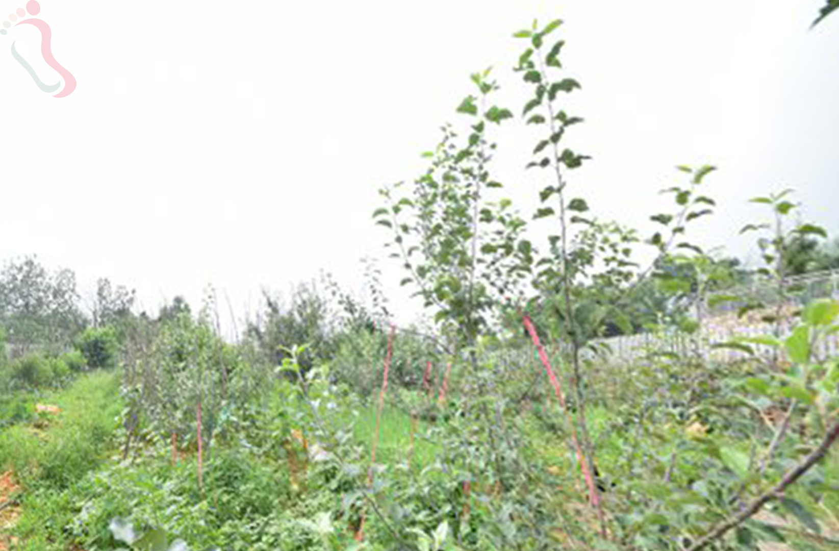 天津蓟州区黄崖关长城超强农家院 - 图片2