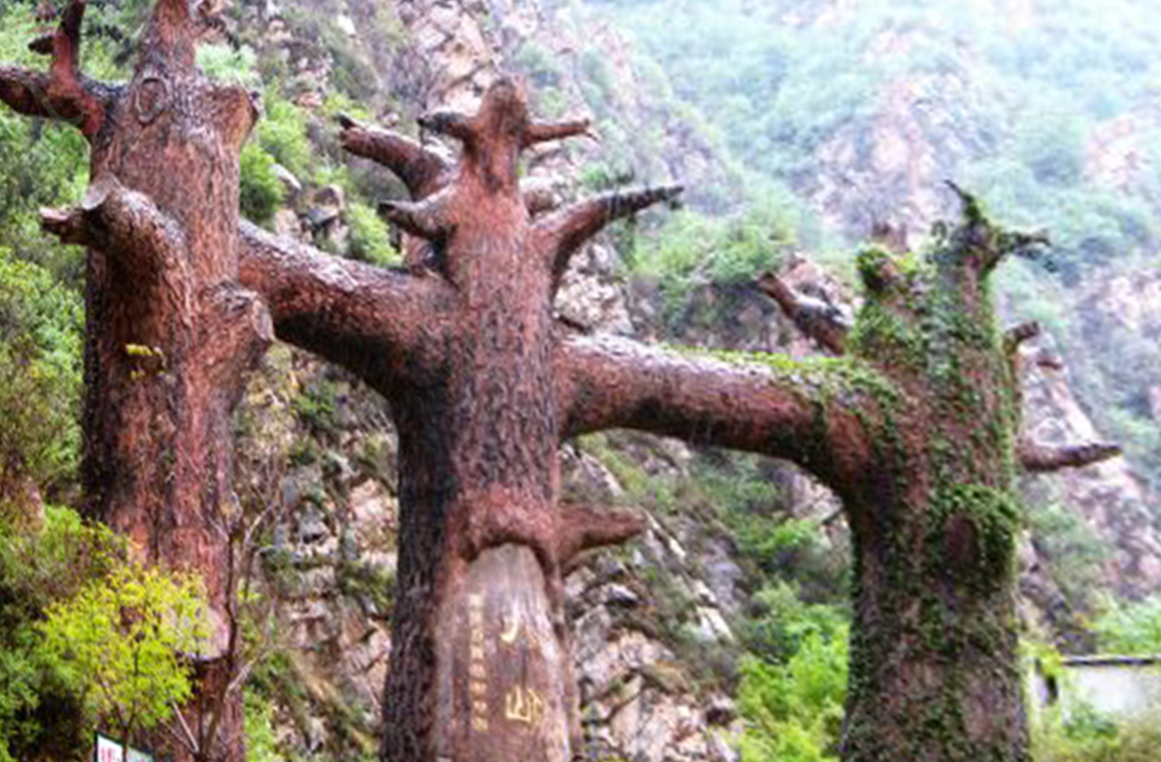 天津蓟州区九山顶王家大院 - 周边游玩