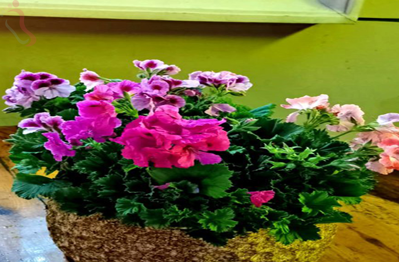 天津蓟州区九山顶华明园 - 图片3