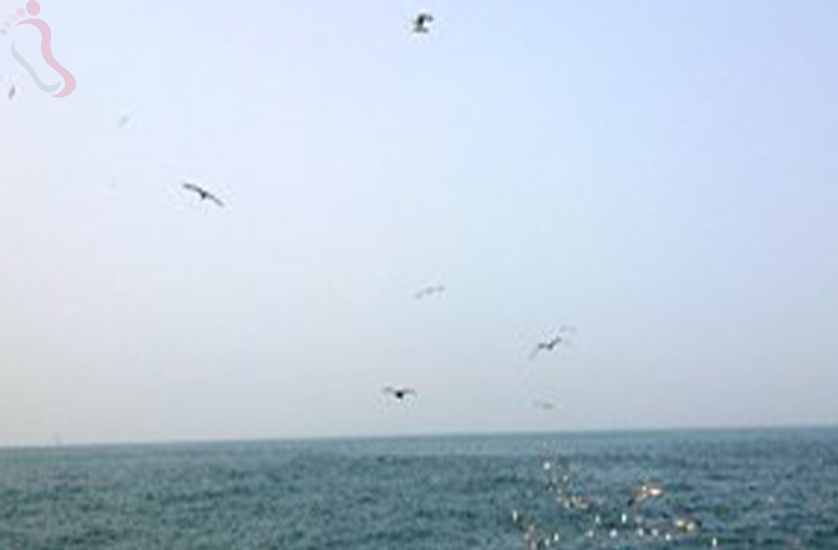 烟台长岛县李平渔家 - 周边游玩