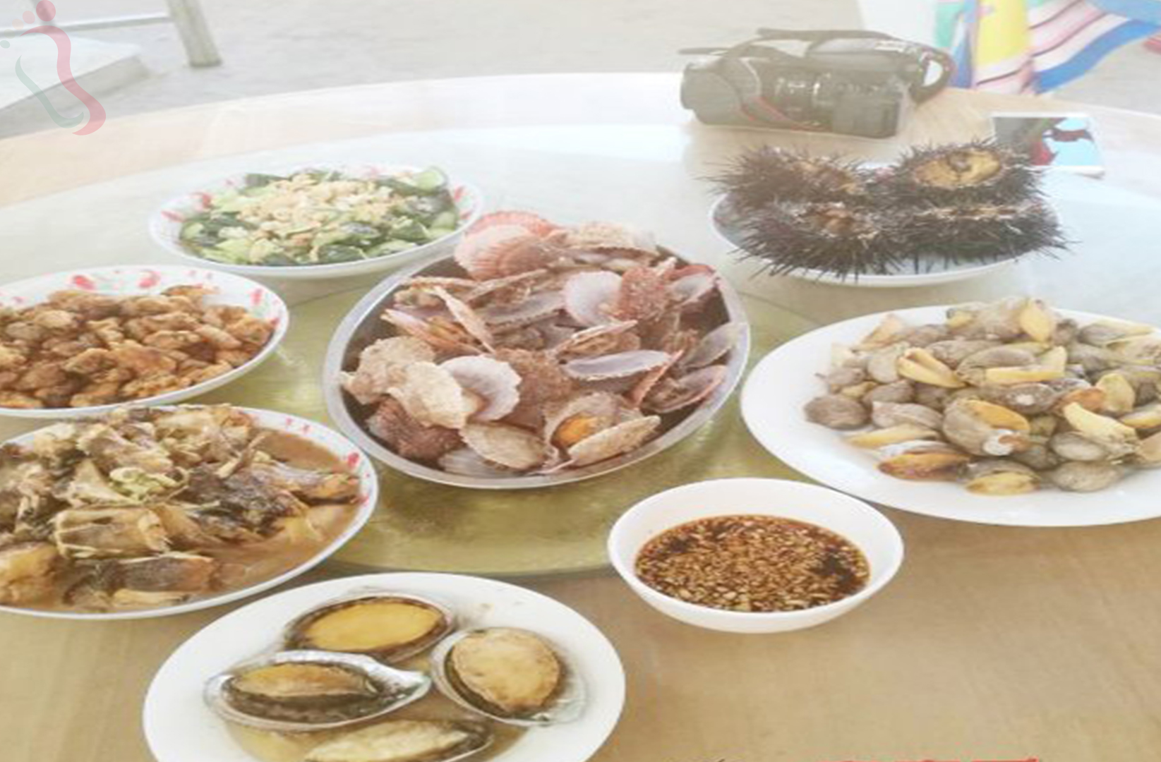 烟台长岛县大钦岛鑫犇羴渔家乐 - 餐饮介绍