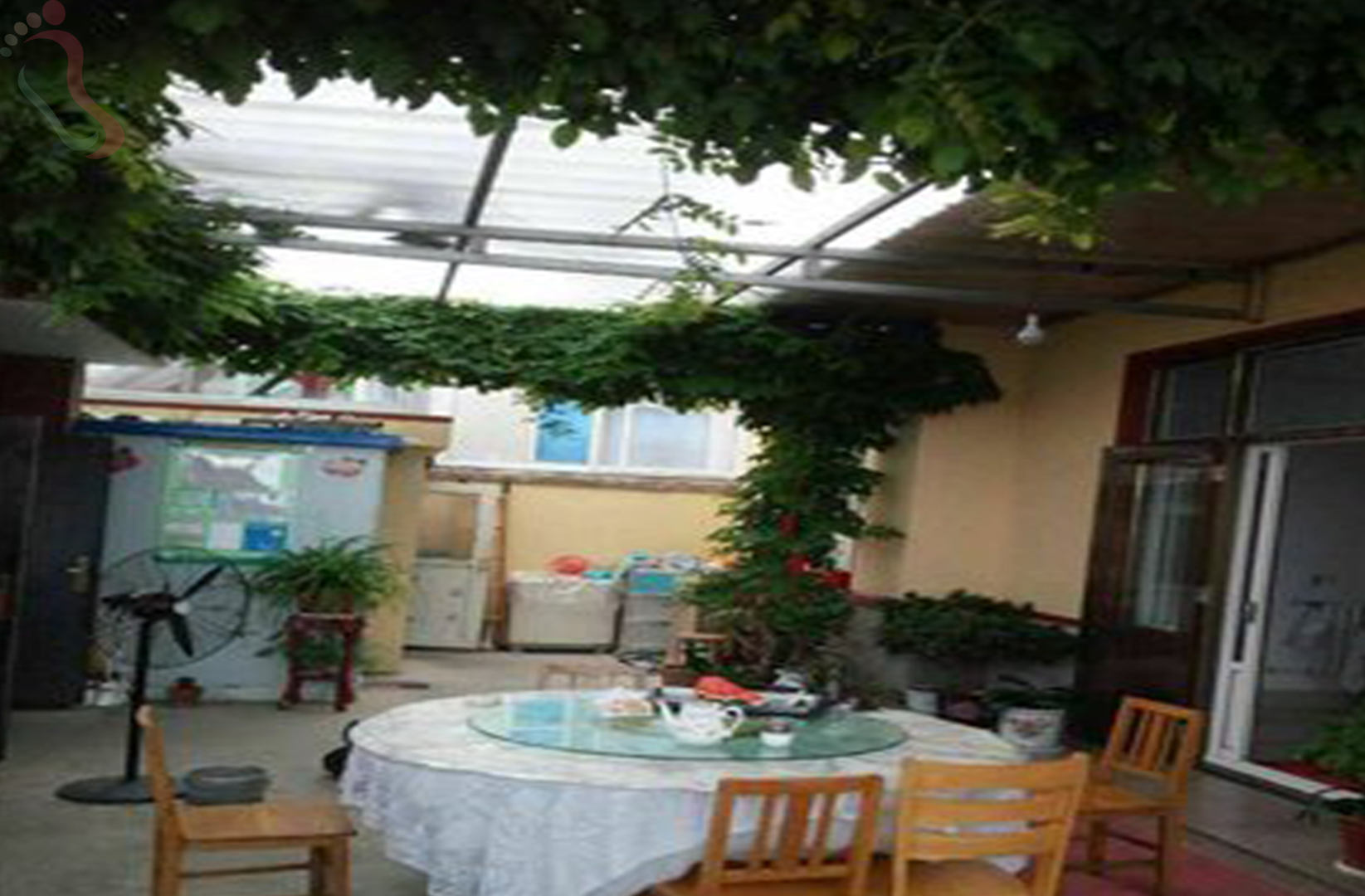 青岛崂山区雕龙嘴珍海农家宴 - 图片2