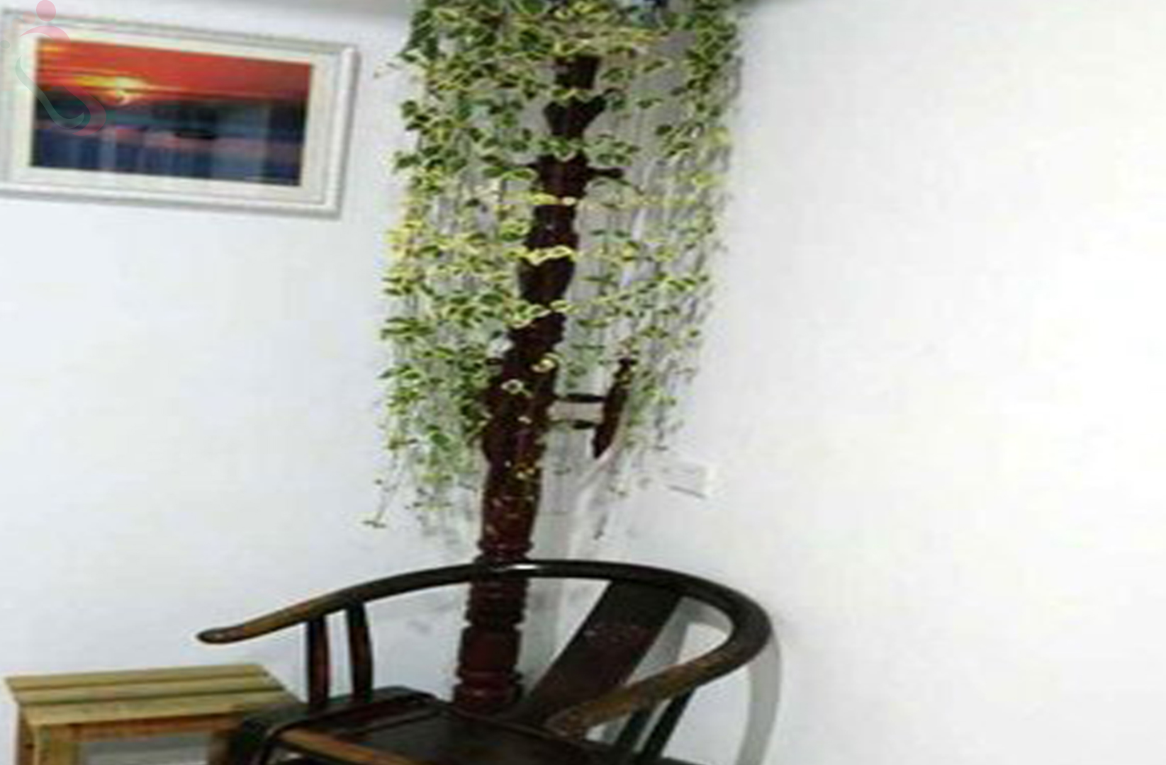 烟台长岛县大黑山岛东风渔家乐 - 图片2