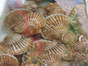山东省烟台市大黑山岛吉祥渔家 - 餐饮介绍