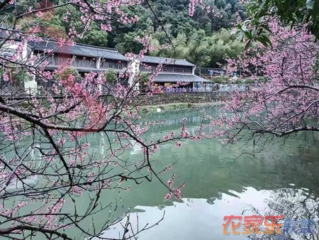 潘家小镇46号民宿 - 周边游玩