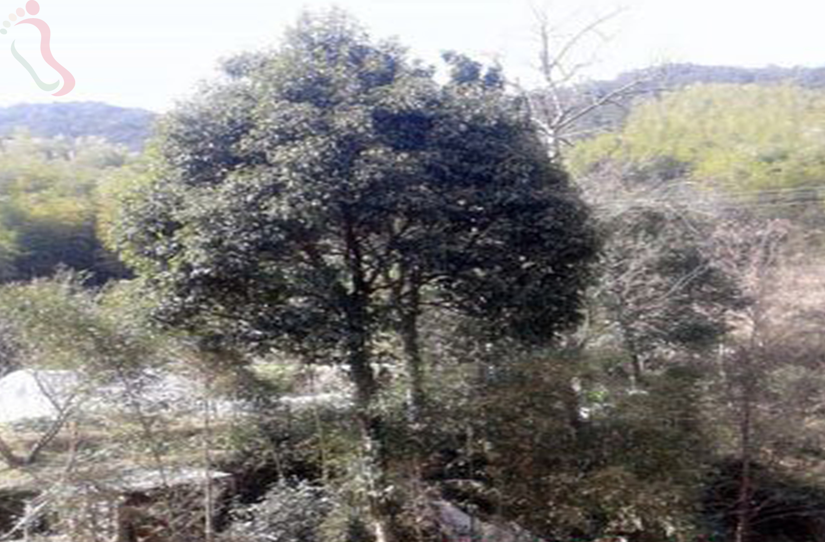 绍兴诸暨泄源山湾湾农家乐 - 周边游玩
