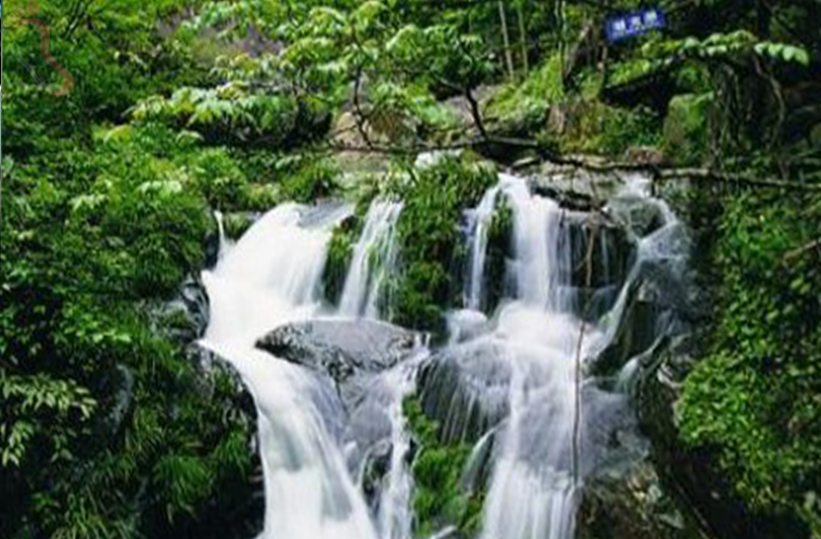 董岭王家山庄 - 周边游玩