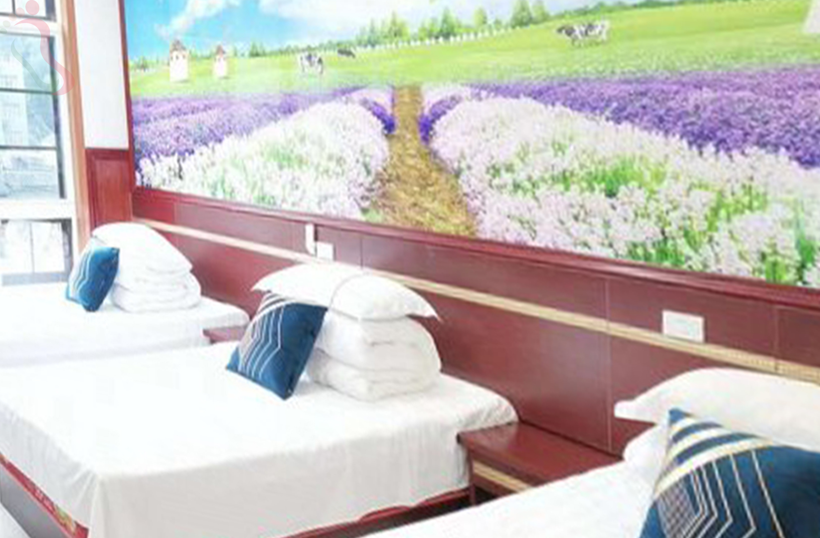 湖州市长兴县新佳农家乐房间图片2