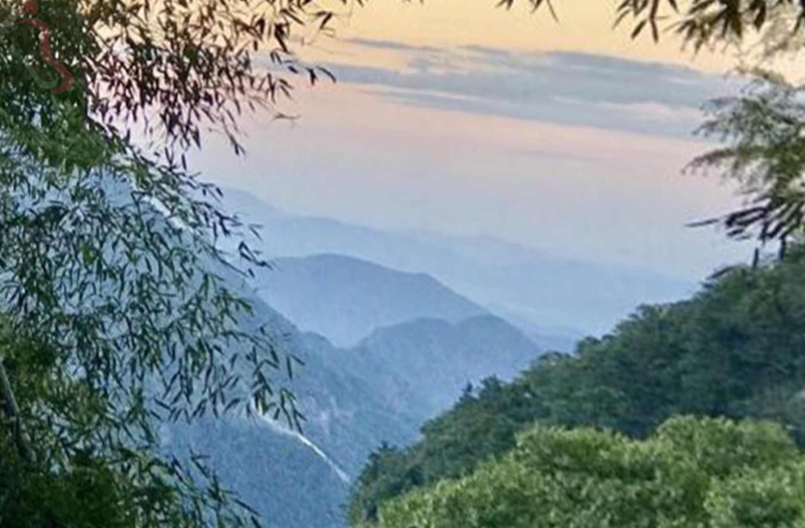 湖州安吉县溪林悦客栈（原竹林山庄） - 周边游玩