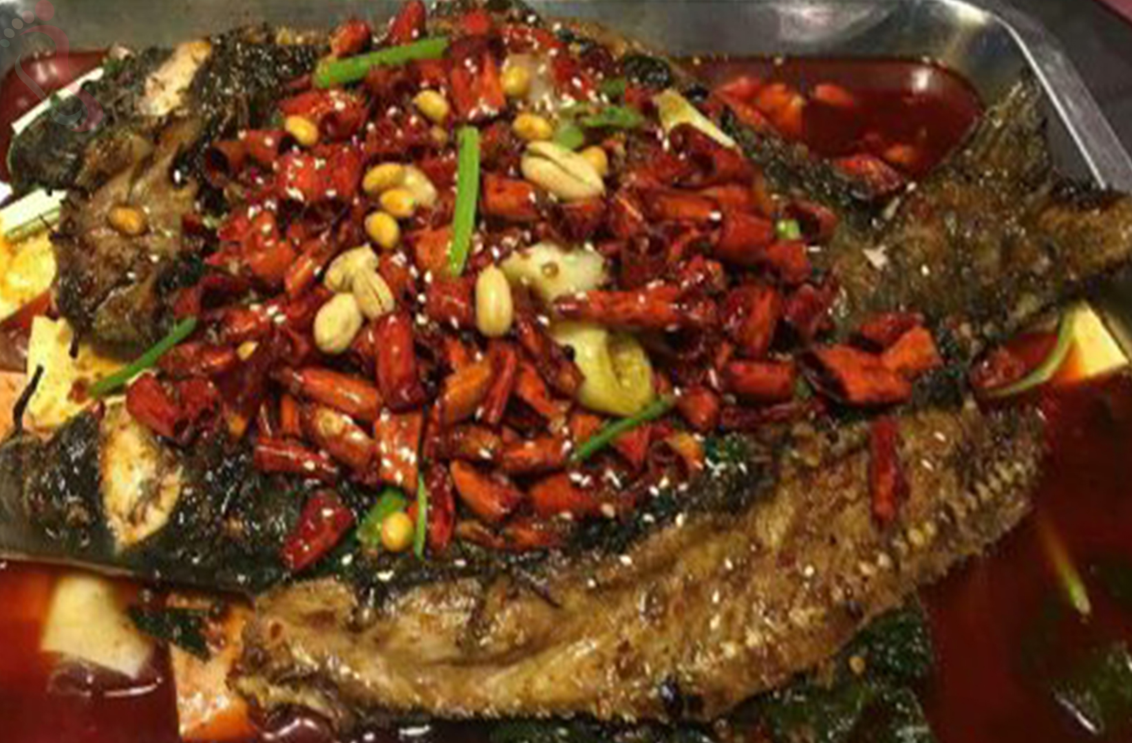 象山沙树渔家乐 - 餐饮介绍