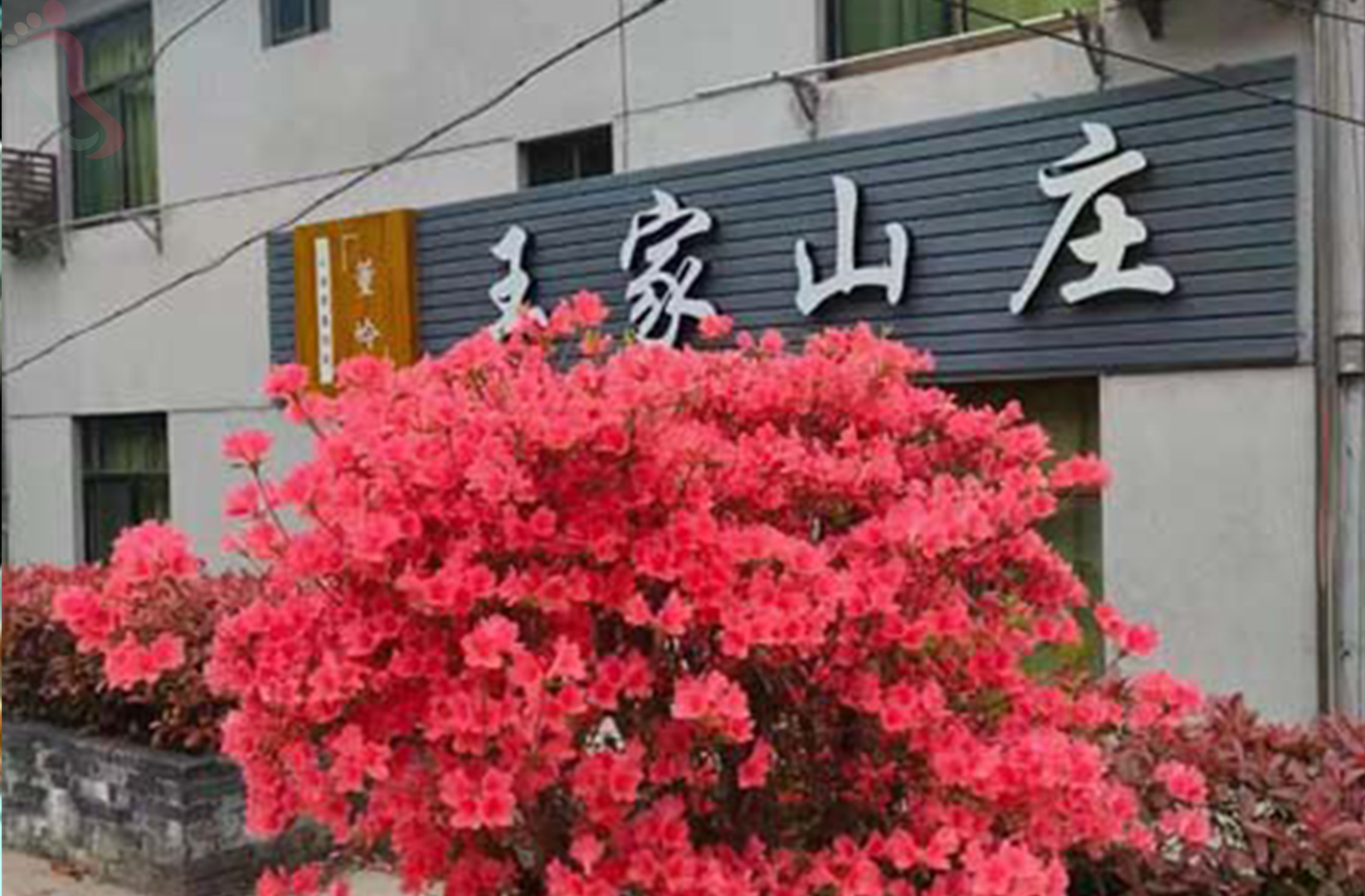董岭王家山庄 - 民宿介绍