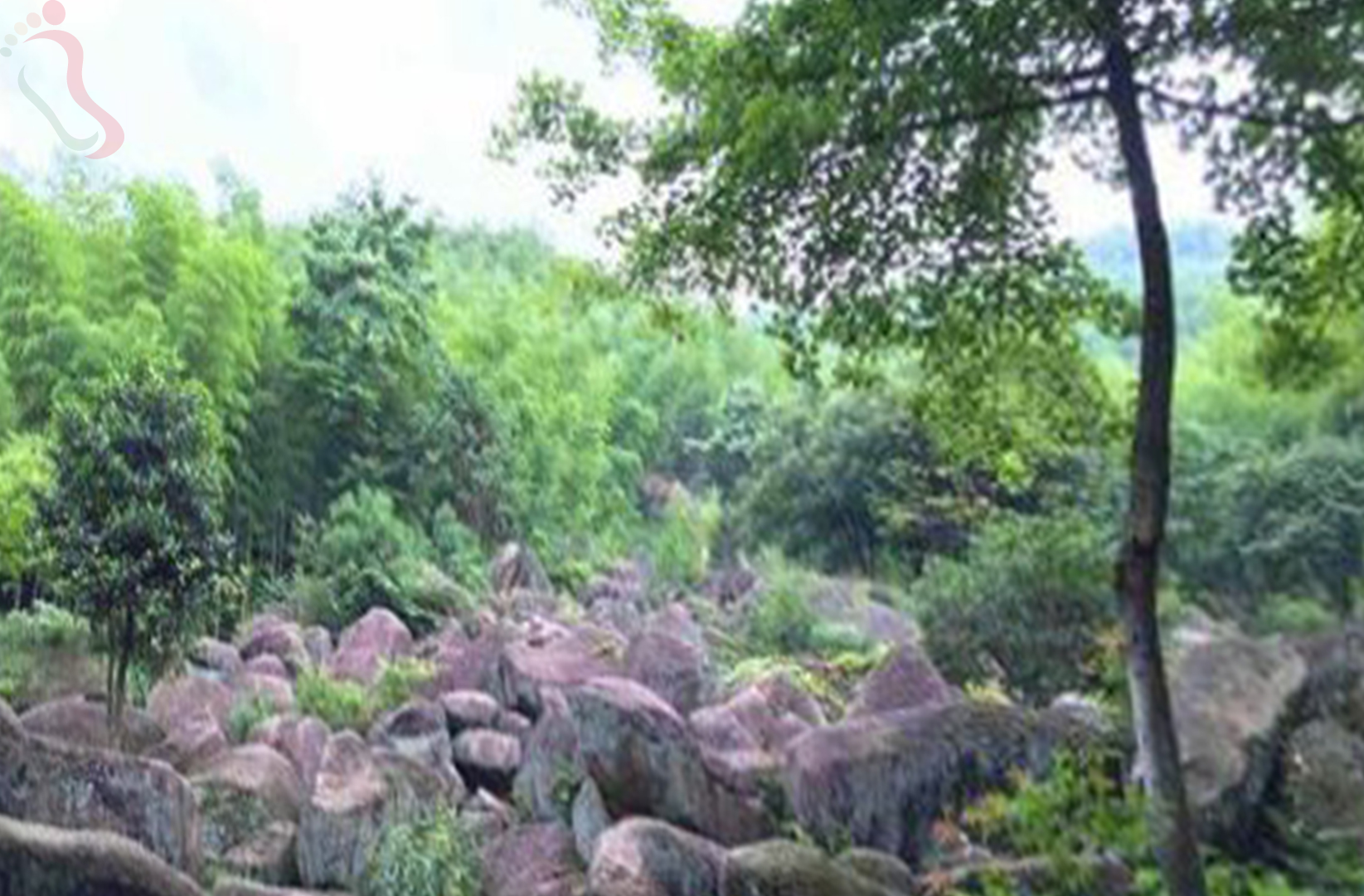 杭州余杭区山沟沟山涧水农家乐 - 周边游玩