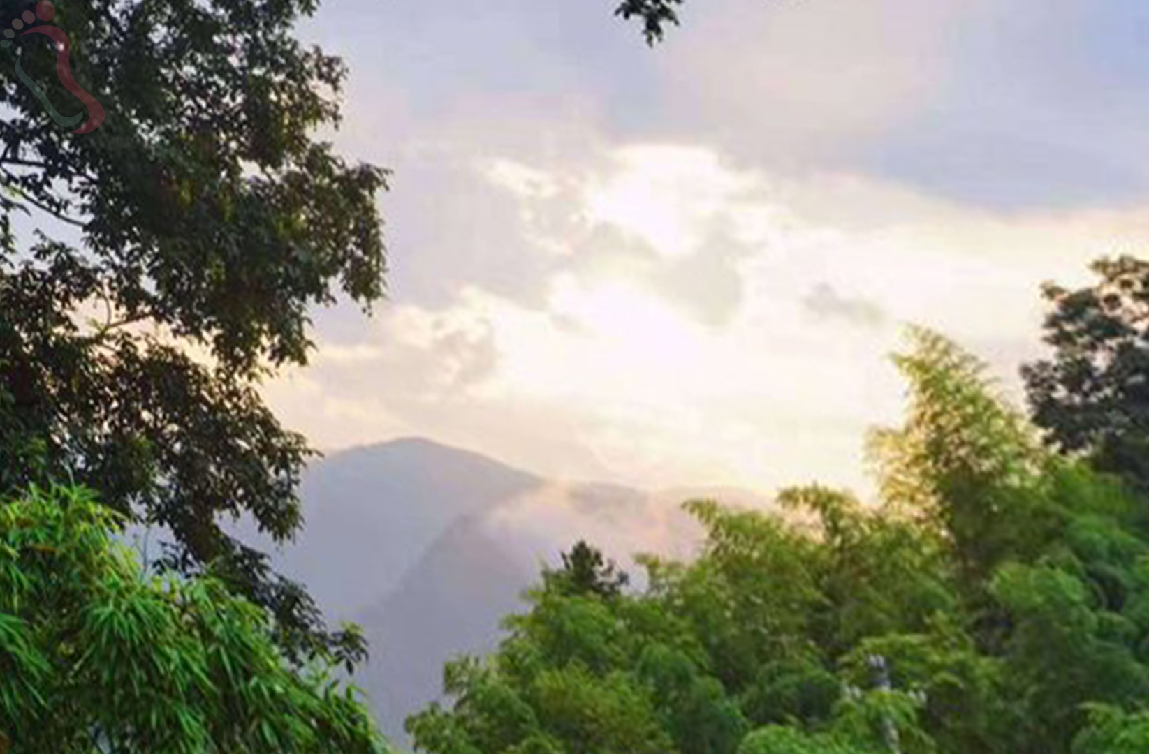 湖州安吉县溪林悦客栈（原竹林山庄） - 图片2