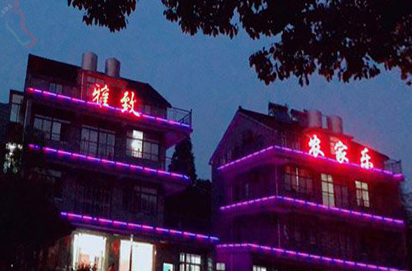 湖州长兴县雅致农家乐 - 图片2