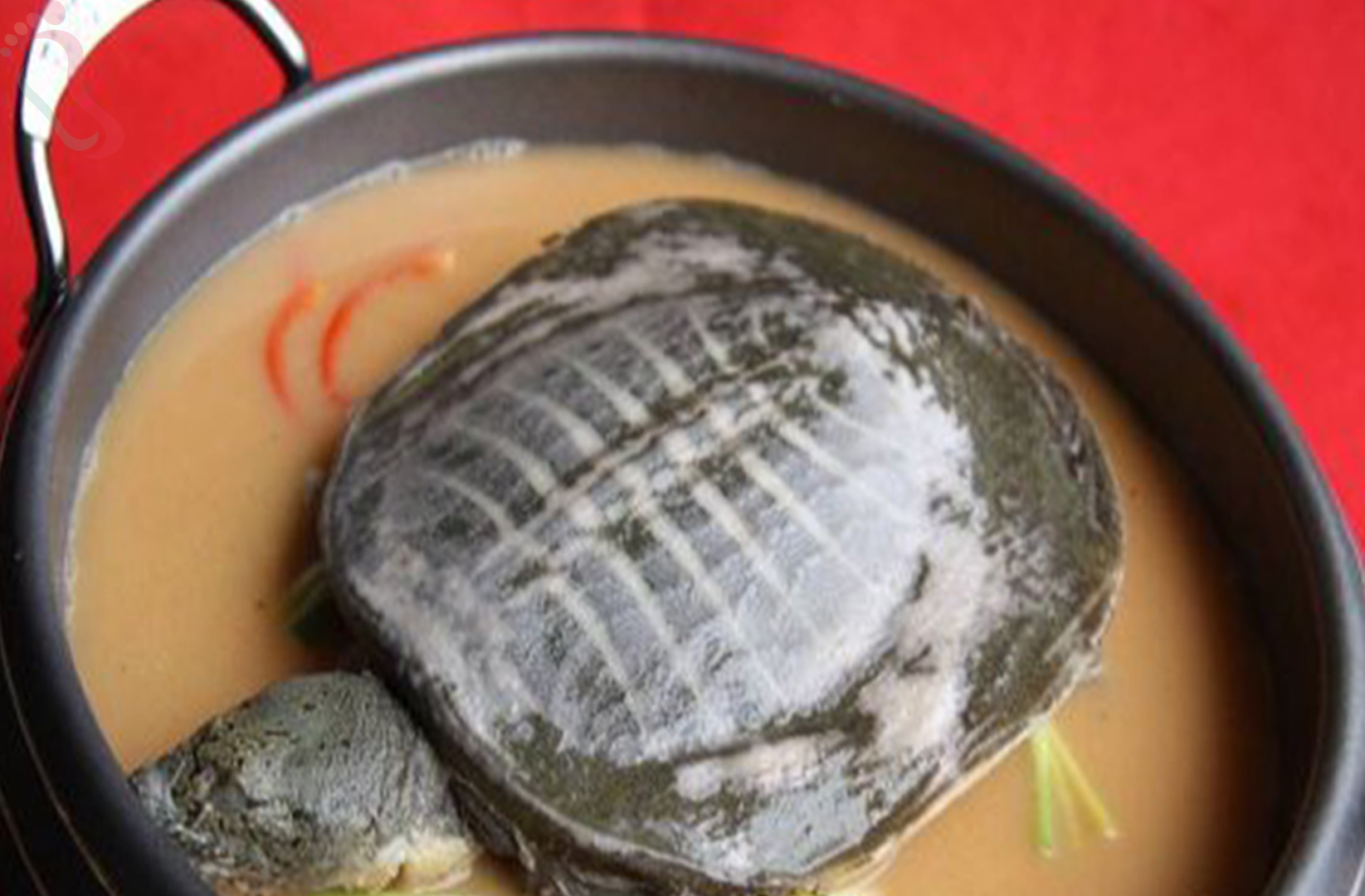 安吉大竹海竹海人家 - 餐饮介绍