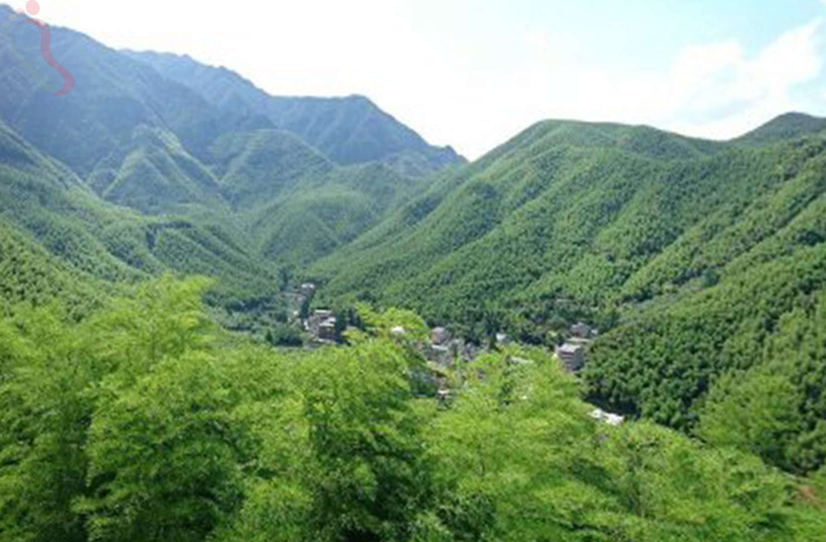 安吉大竹海竹海人家 - 周边游玩