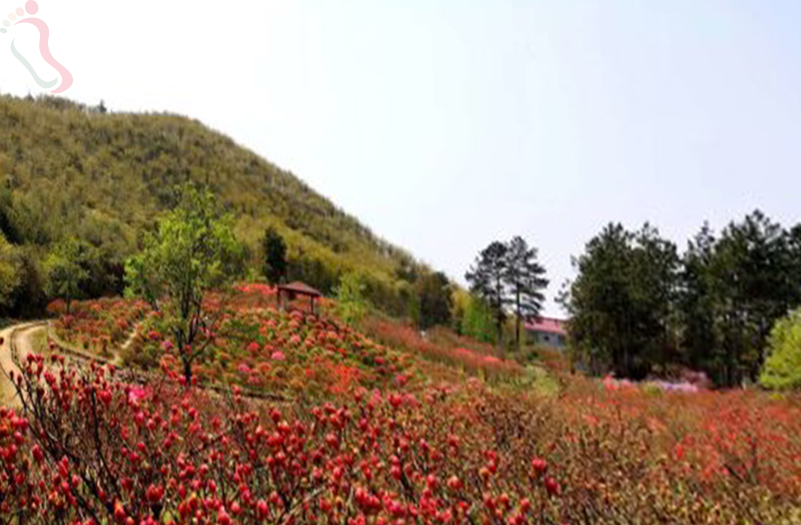 湖州安吉县龙王山望水阁山庄 - 周边游玩