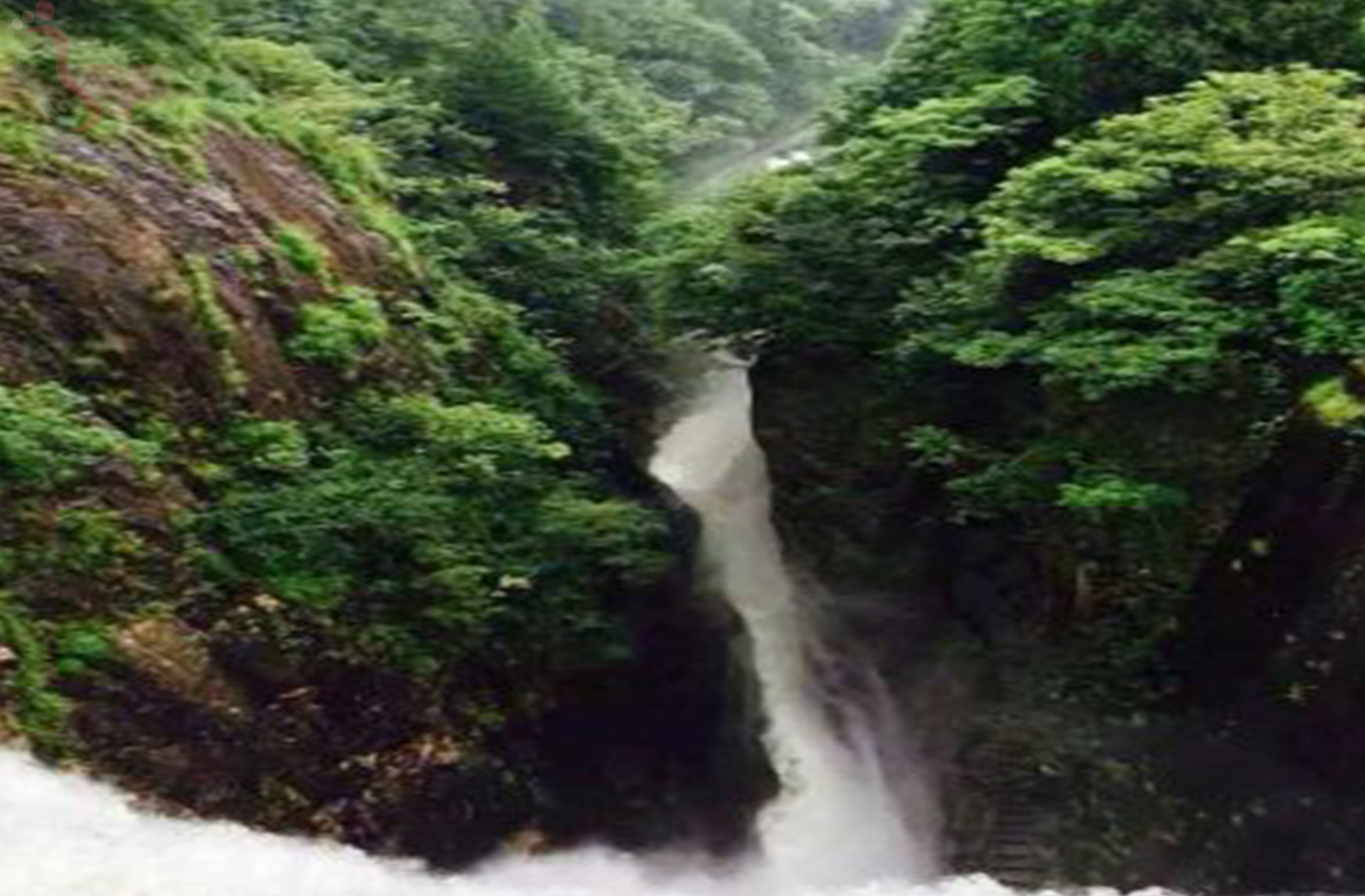 杭州临安市山峰农庄 - 周边游玩