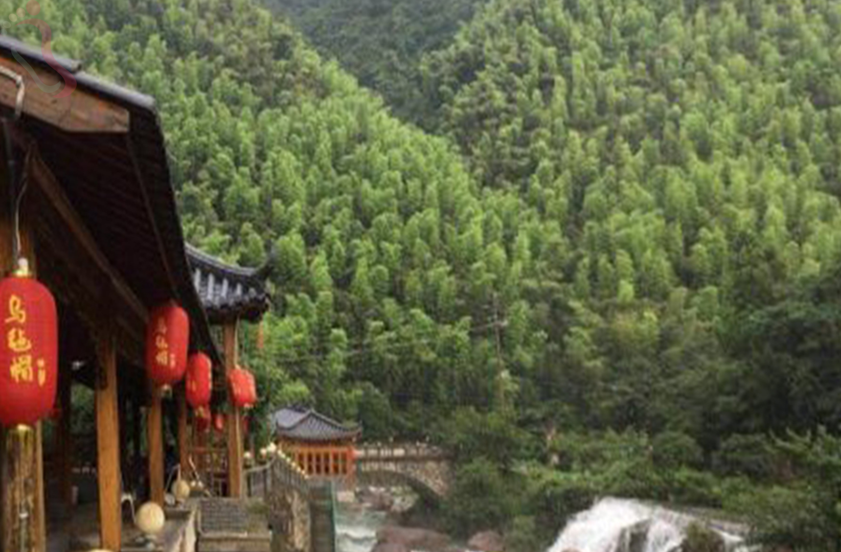 安吉乾龙山庄 - 图片1