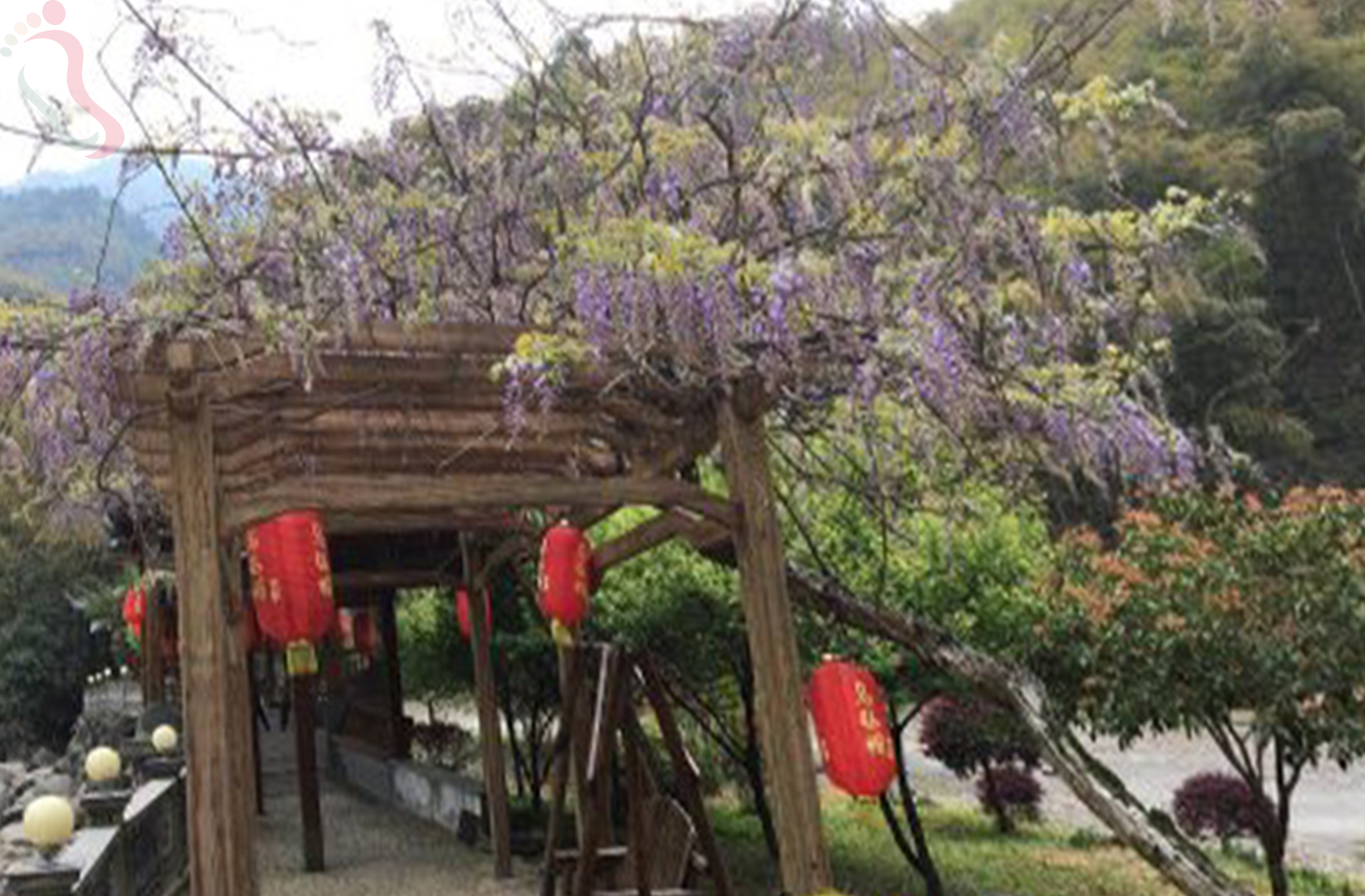 安吉乾龙山庄 - 图片3