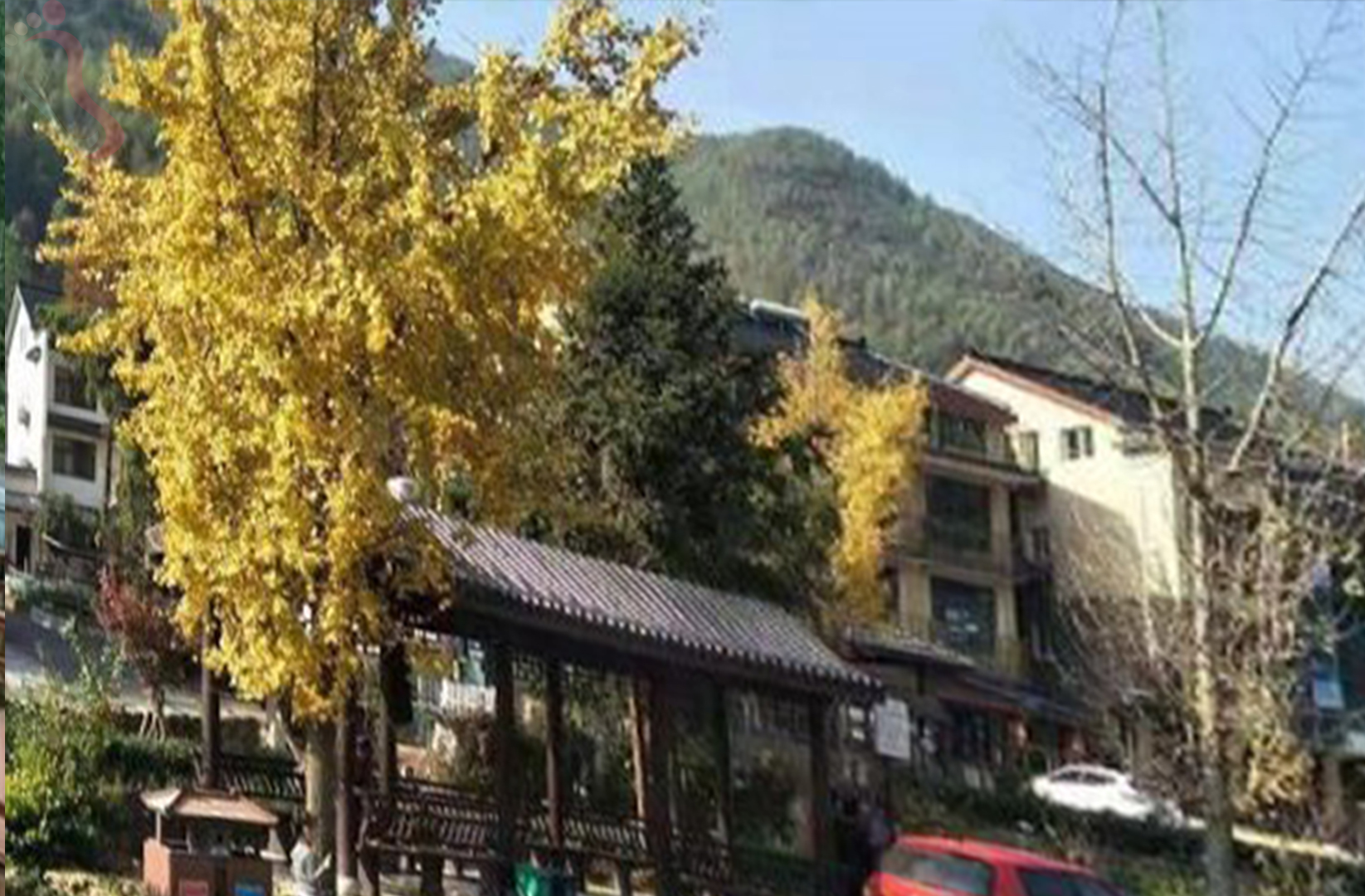 湖州长兴县在水一方农家乐 - 图片2