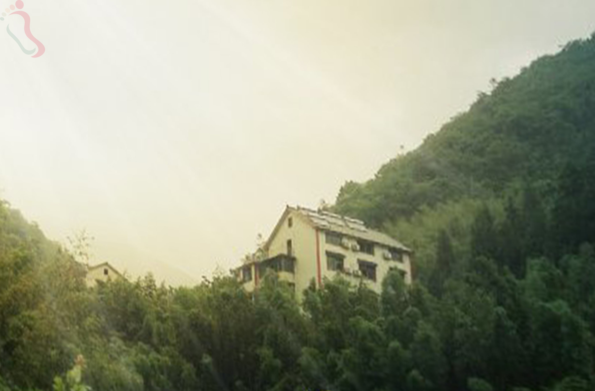 杭州临安市山峰农庄 - 图片3