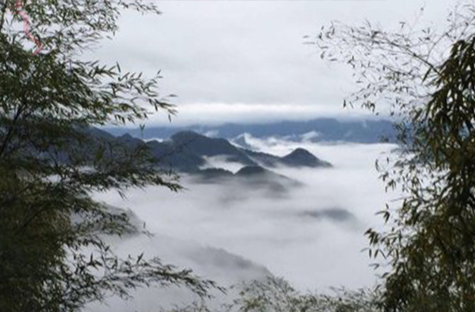 丽水遂昌县南尖岩石川农家乐 - 周边游玩