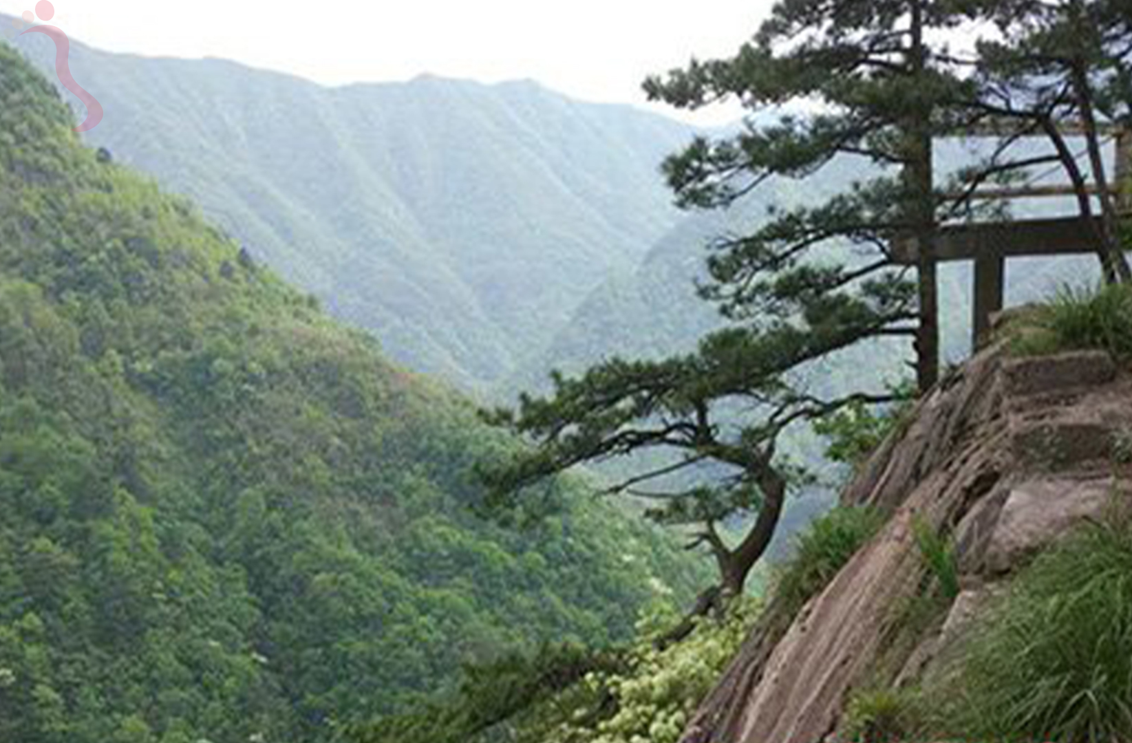 安吉龙岭山庄 - 周边游玩