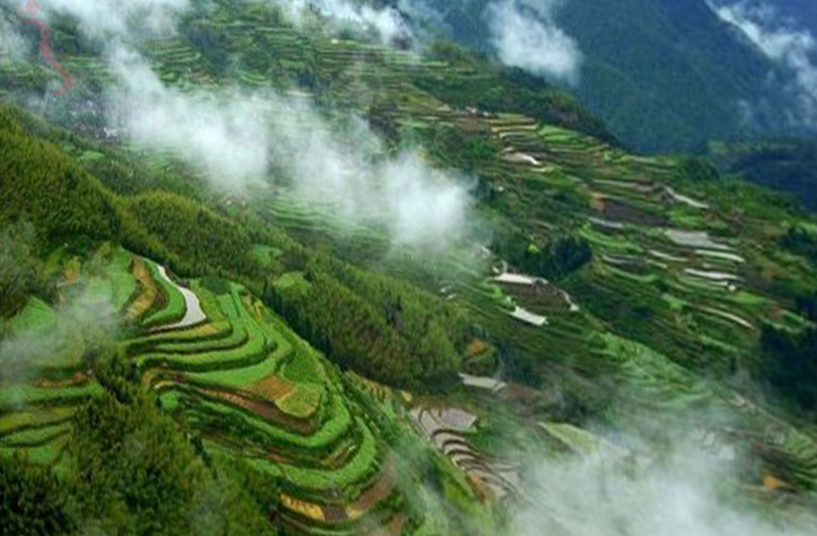丽水遂昌县南尖岩石川农家乐 - 周边游玩