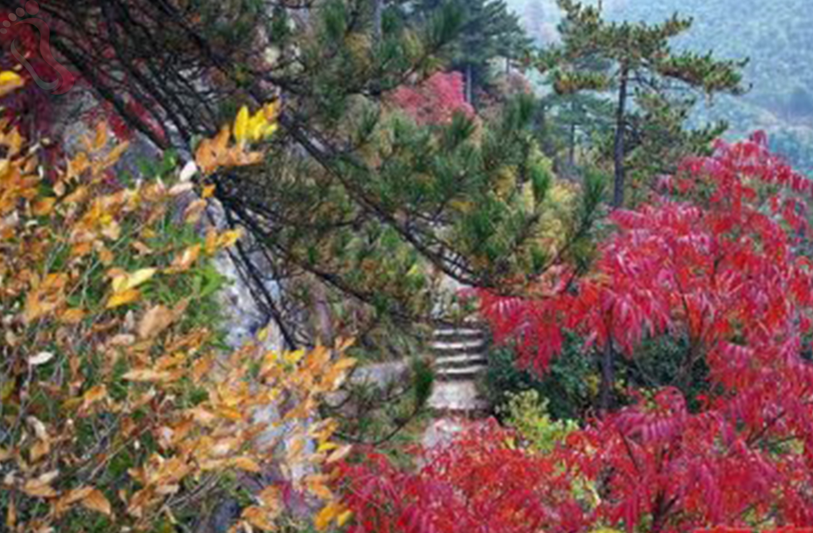 安吉龙岭山庄 - 周边游玩