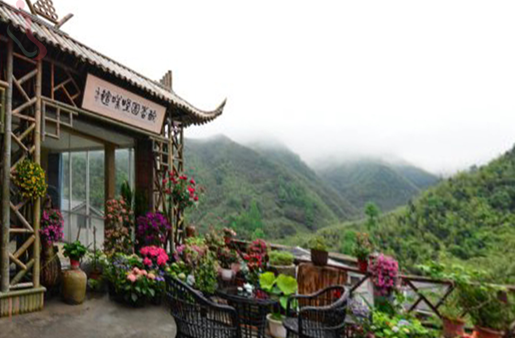 湖州市安吉县醉香园景观农庄 - 图片4