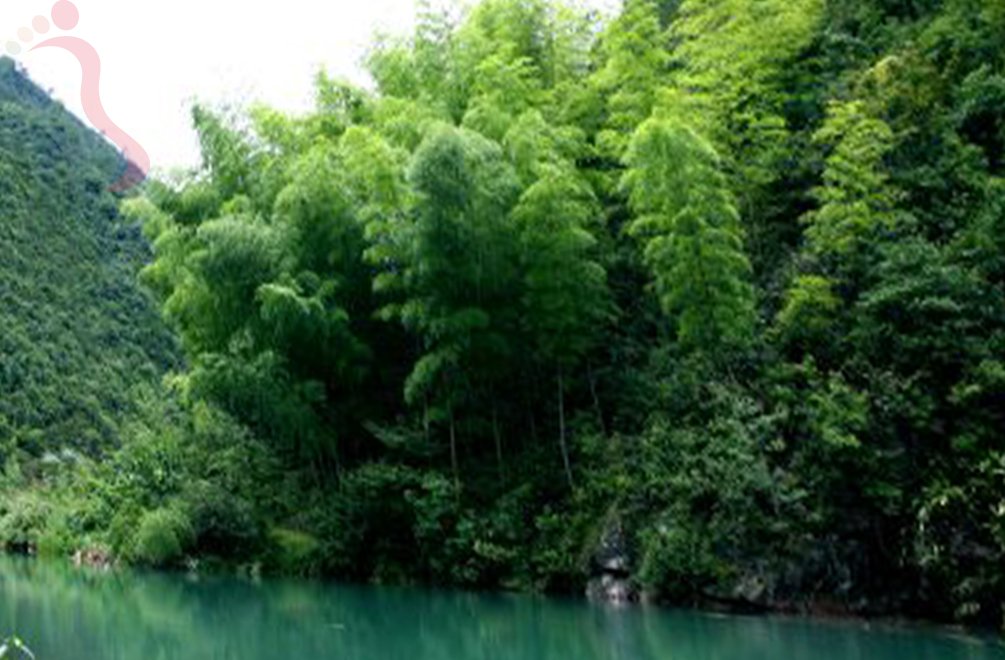 浦江水竹湾景区莲花山庄 - 周边游玩
