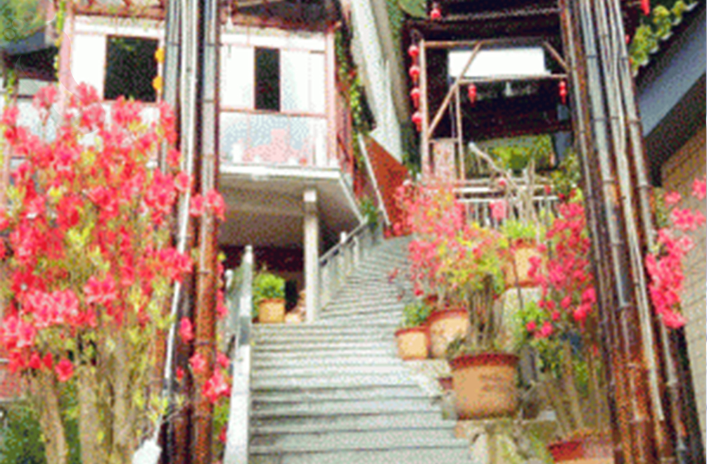 临安爱月农家 - 图片2