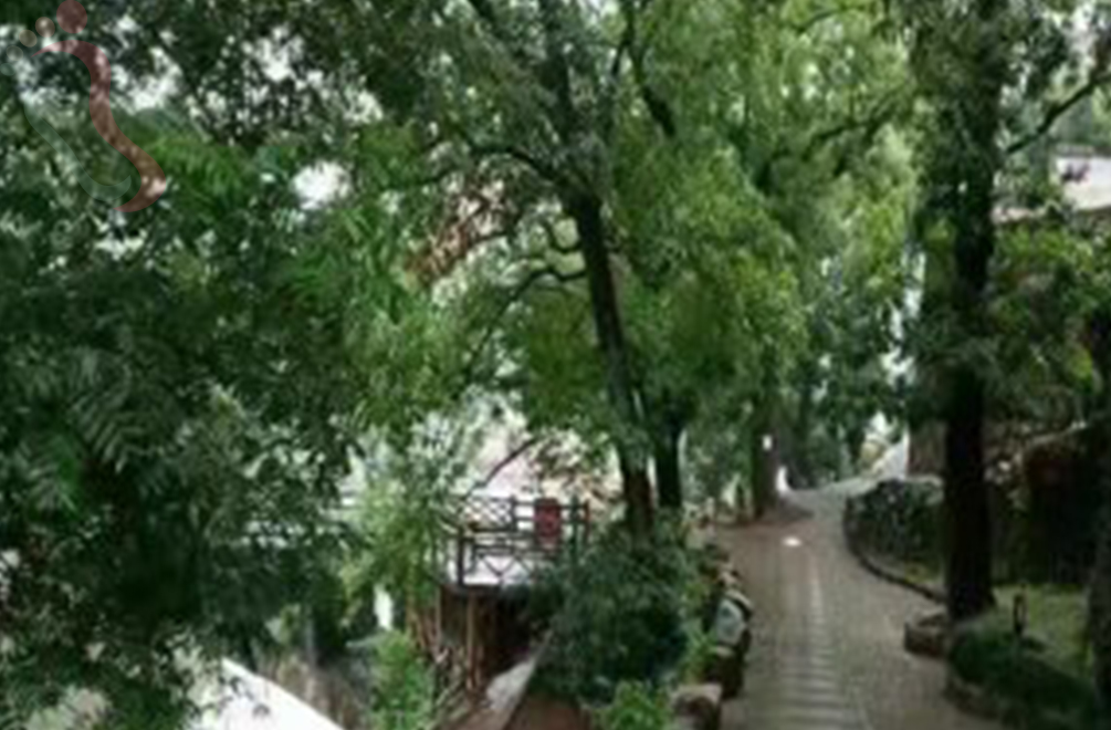 桐庐芦茨湾杨妞农家乐 - 周边游玩