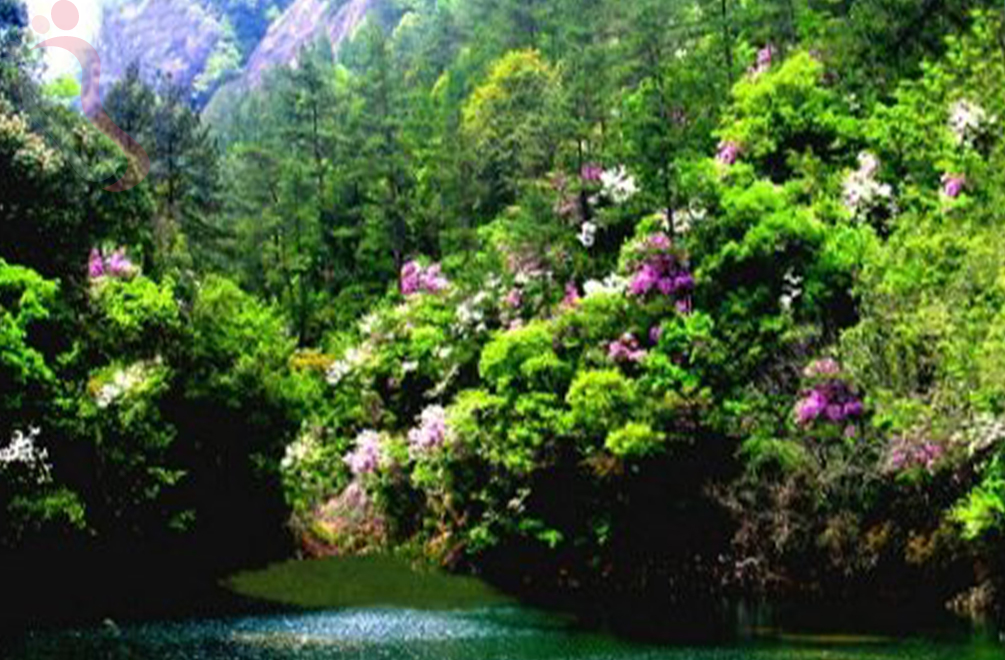 白水涧山庄 - 周边游玩