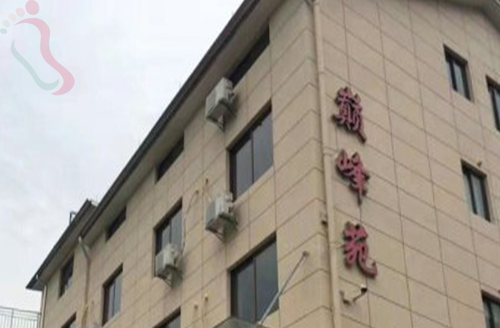 安吉天荒坪巅峰苑休闲山庄 - 图片1