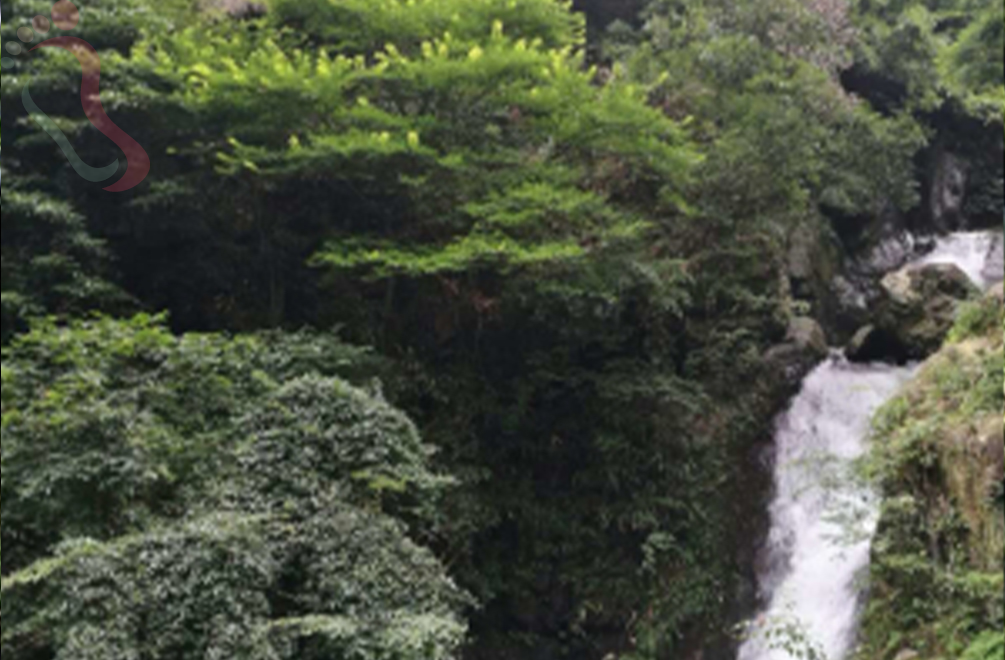 山沟沟竹山沟农家乐 - 周边游玩