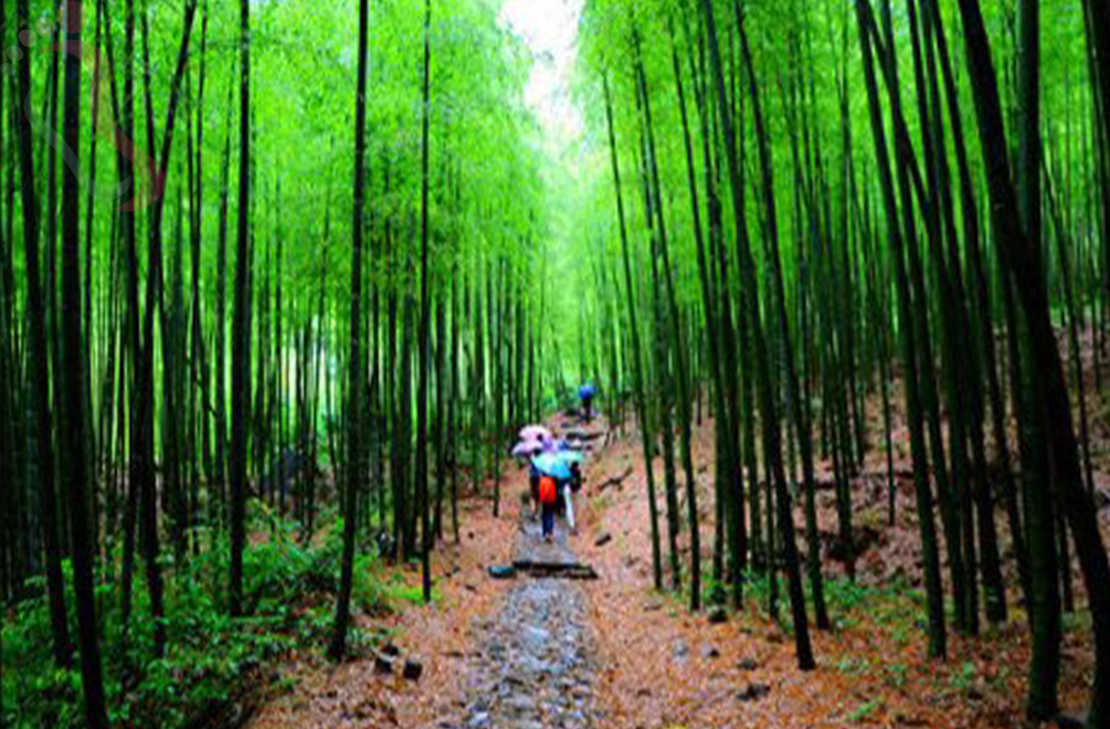 白水涧山庄 - 周边游玩