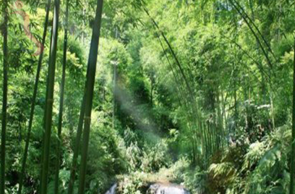 浙北大峡谷玲珑山庄 - 周边游玩