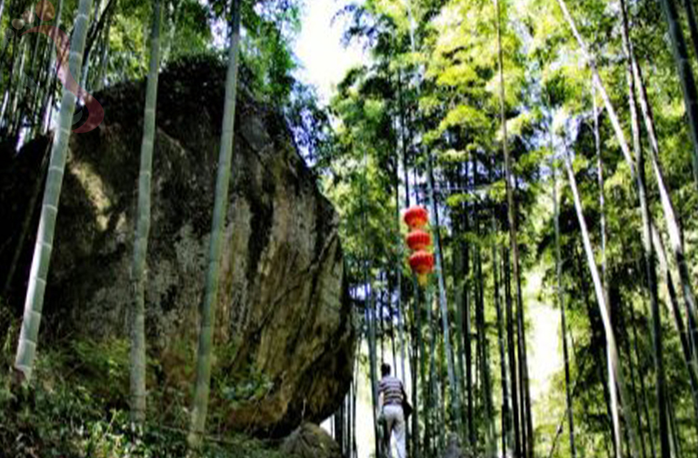 山沟沟竹山沟农家乐 - 周边游玩
