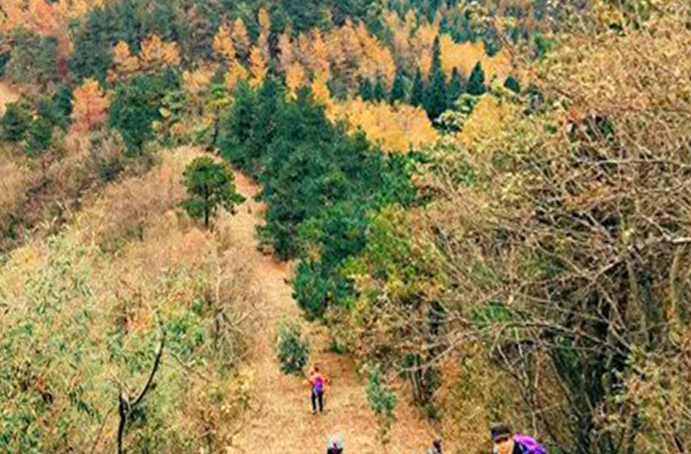 天目山金源农家 - 周边游玩