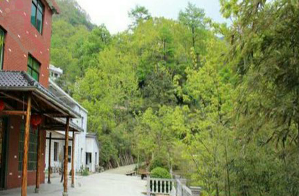 安吉董岭悠然山庄 - 图片1