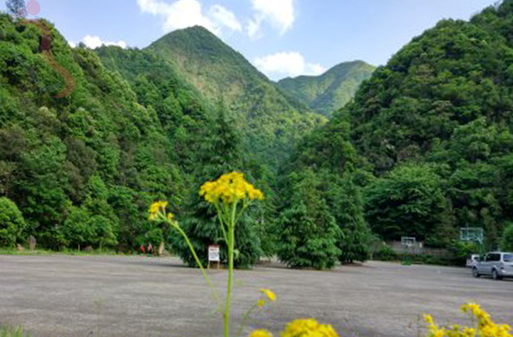 浦江水竹湾景区莲花山庄 - 周边游玩
